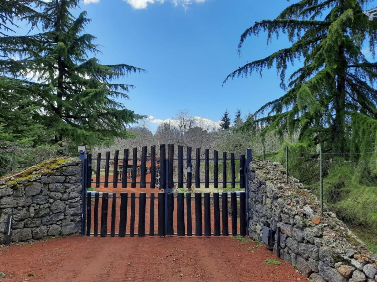 Casa Etna Villa Бронте Екстериор снимка