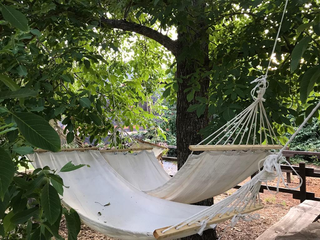 Casa Etna Villa Бронте Екстериор снимка